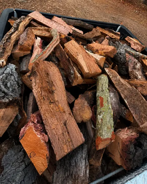 Split red oak, close up